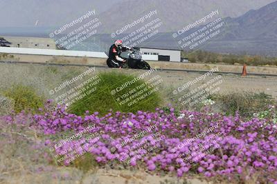 media/Feb-04-2023-SoCal Trackdays (Sat) [[8a776bf2c3]]/Turn 15 Inside Blooming (1050am)/